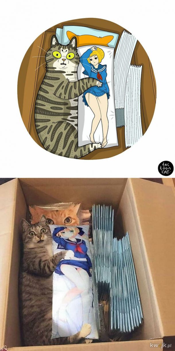 Prawdziwe kotki w komiksowej odsłonie, obrazek 8