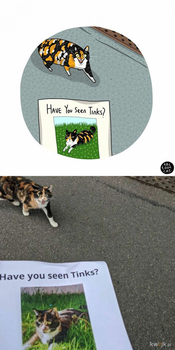 Prawdziwe kotki w komiksowej odsłonie, obrazek 12