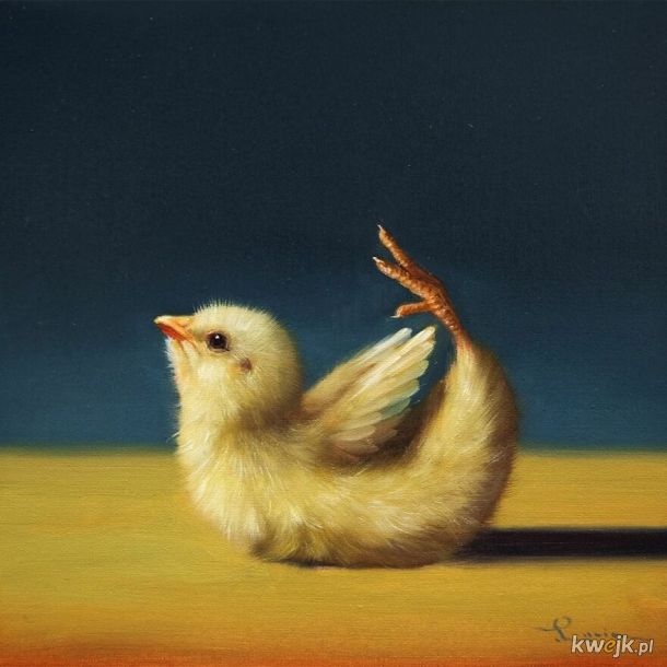 Kurczaczkowa joga namalowana przez Lucie Heffernan, obrazek 4