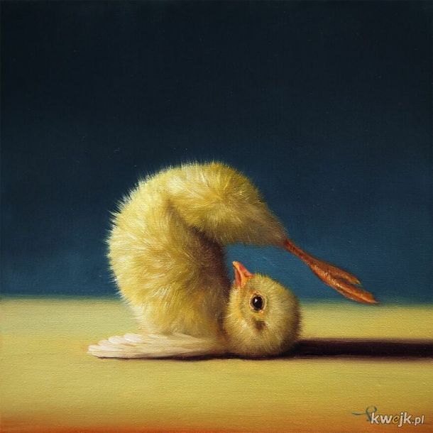 Kurczaczkowa joga namalowana przez Lucie Heffernan, obrazek 15