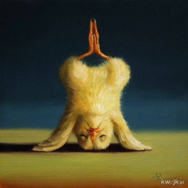 Kurczaczkowa joga namalowana przez Lucie Heffernan, obrazek 2