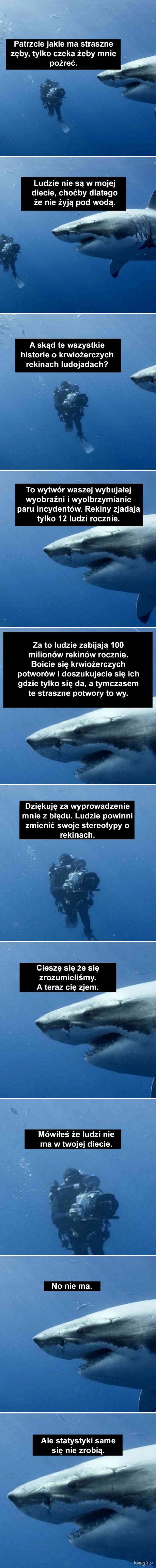 Prawda o rekinach