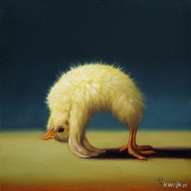 Kurczaczkowa joga namalowana przez Lucie Heffernan, obrazek 13