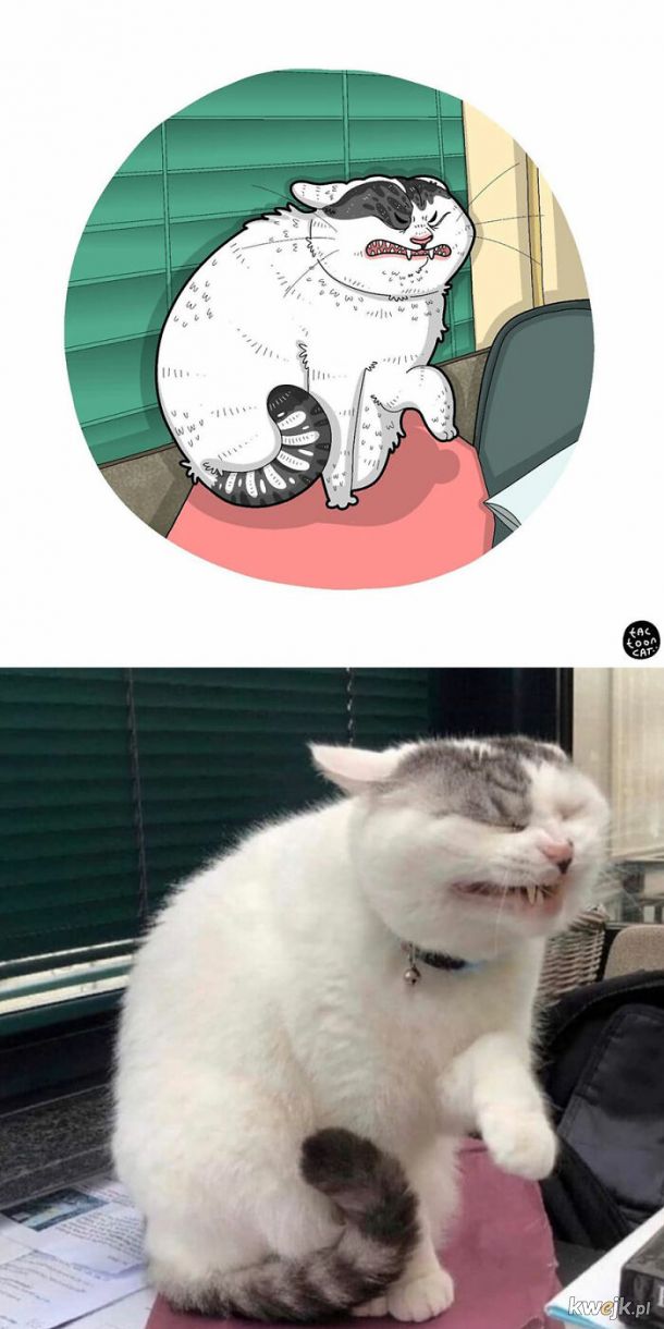 Prawdziwe kotki w komiksowej odsłonie, obrazek 5
