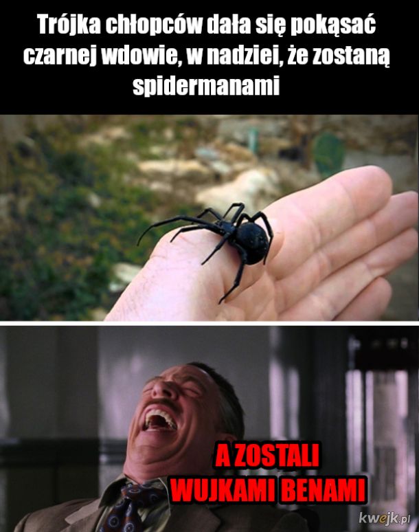 Jak zostać spidermanem