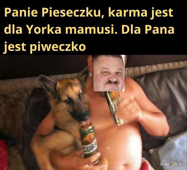 Panie Pieseczku
