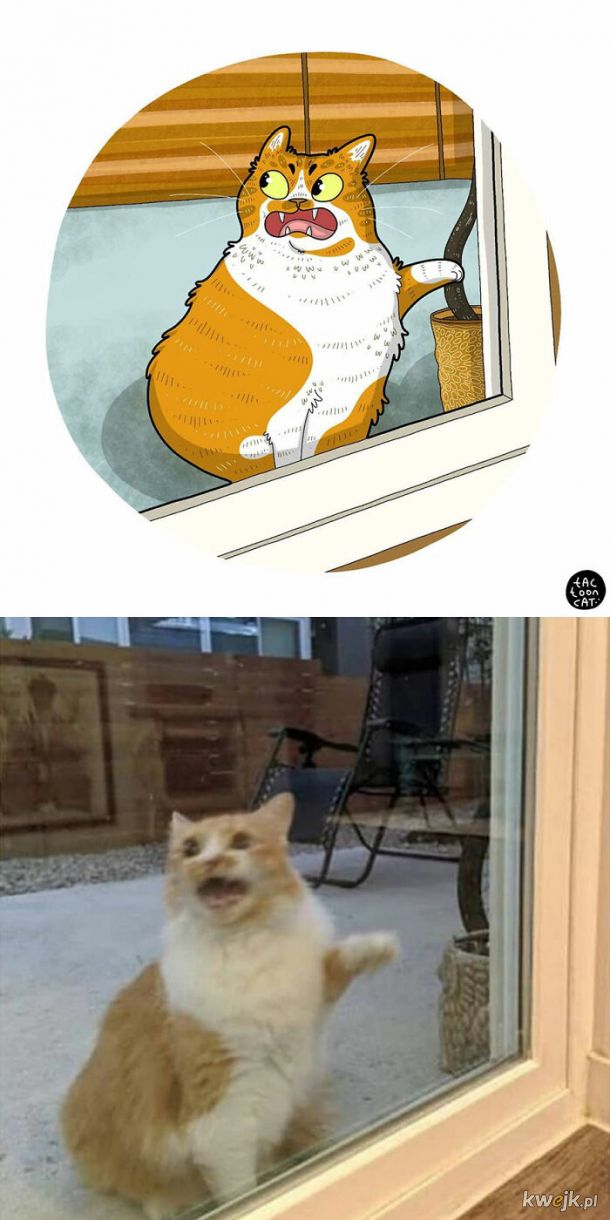 Prawdziwe kotki w komiksowej odsłonie, obrazek 9