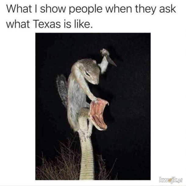 chyba jednostki specjalne Texasu