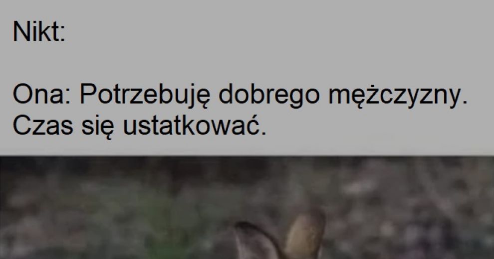 kwejk.pl