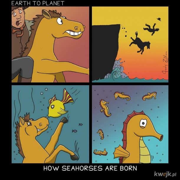Jak narodził się konik morski