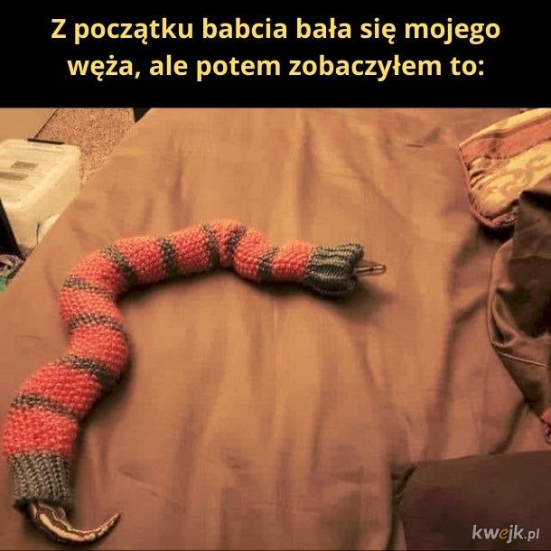 Sweterek dla węża