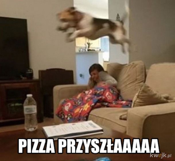 Pizzunia