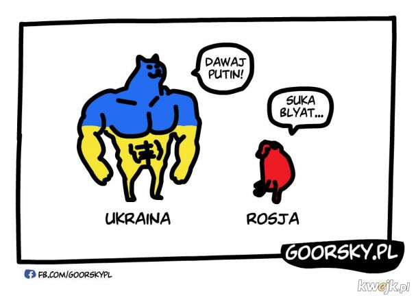 Ukraina vs Rosja