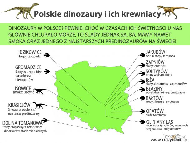 Gdzie w Polsce szukać dinozaurów?