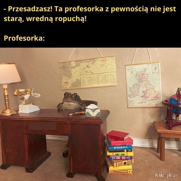 Profesorka