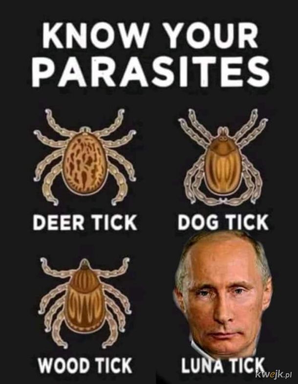 Rodzaje pasożytów