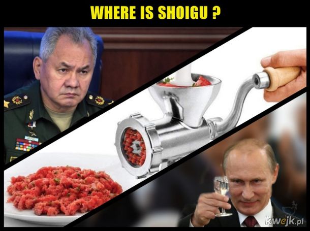 Where is Shoigu?