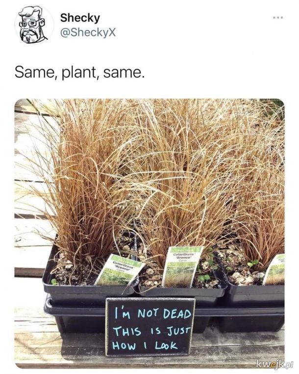 Dotyczy nie tylko roślin.
