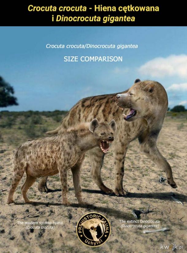 Porównanie wielkości prehistorycznych, wymarłych i współczesnych zwierząt
