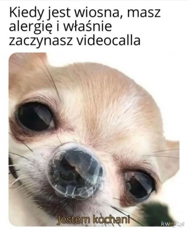 Alergii czas