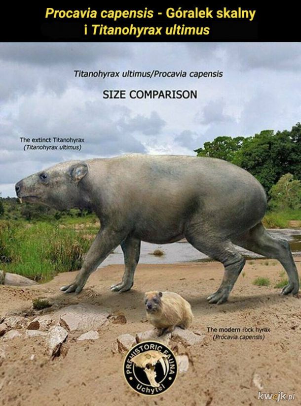 Porównanie wielkości prehistorycznych, wymarłych i współczesnych zwierząt, obrazek 25