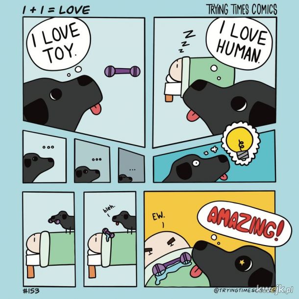 Psia logika (pełna miłości)