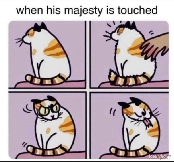 No touchy touchy