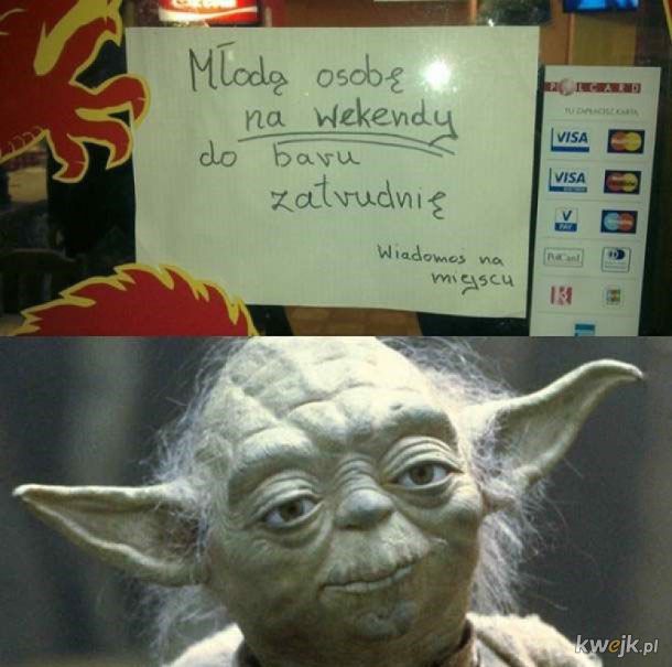 Yoda zatrudnia