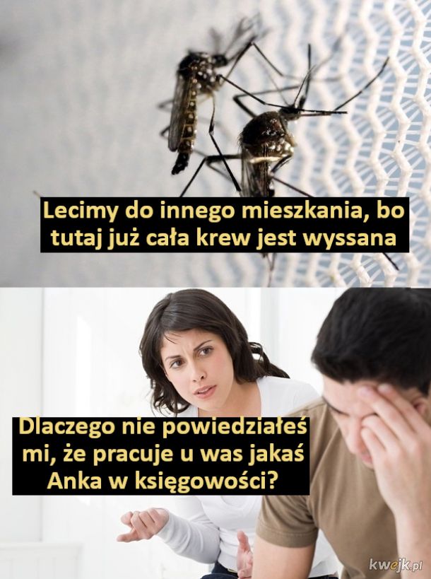 Komary nie mają już czego tu szukać