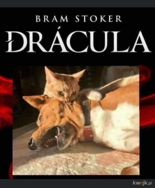 Dracula - historia prawdziwa