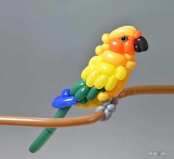 Masayoshi Matsumoto bierze robienie zwierzątek z balonów na poważnie
