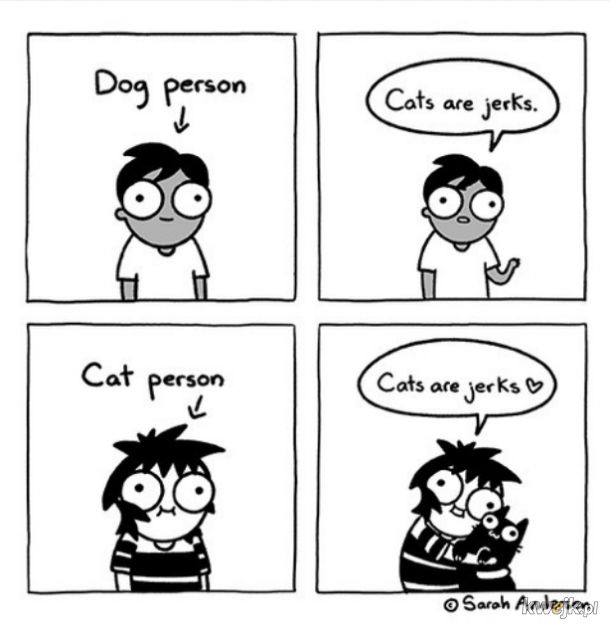 Koty