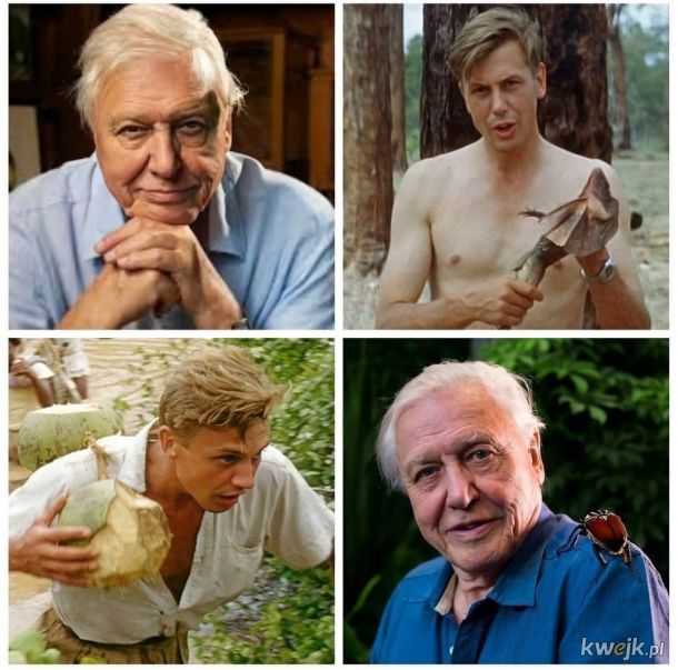 David Attenborough obchodzi dziś 96. urodziny