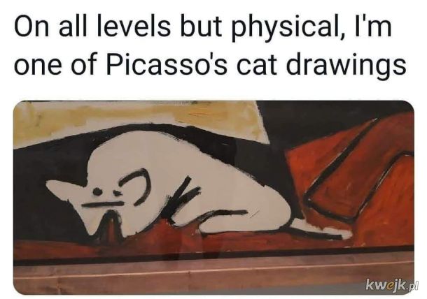 Kot Picasso