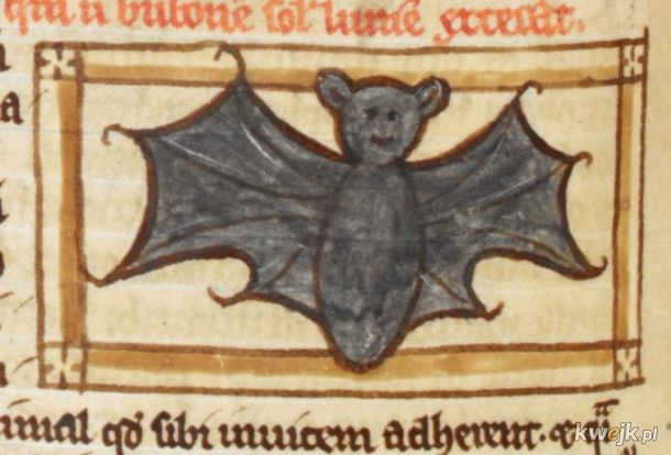 Dziwne stworzonka ze średniowiecznych manuskryptów, obrazek 2