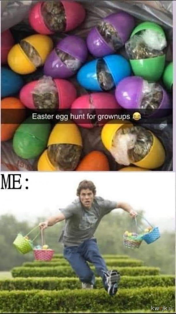 Na takie jaja można polować.