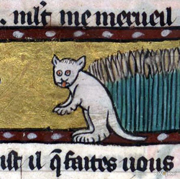 Dziwne stworzonka ze średniowiecznych manuskryptów, obrazek 6