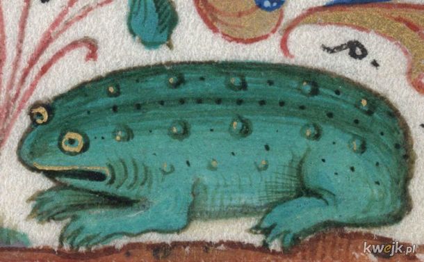 Dziwne stworzonka ze średniowiecznych manuskryptów, obrazek 25