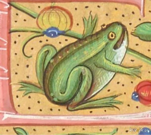 Dziwne stworzonka ze średniowiecznych manuskryptów, obrazek 19