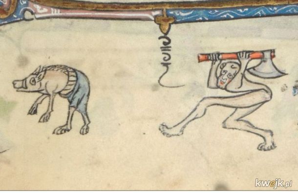 Dziwne stworzonka ze średniowiecznych manuskryptów, obrazek 23