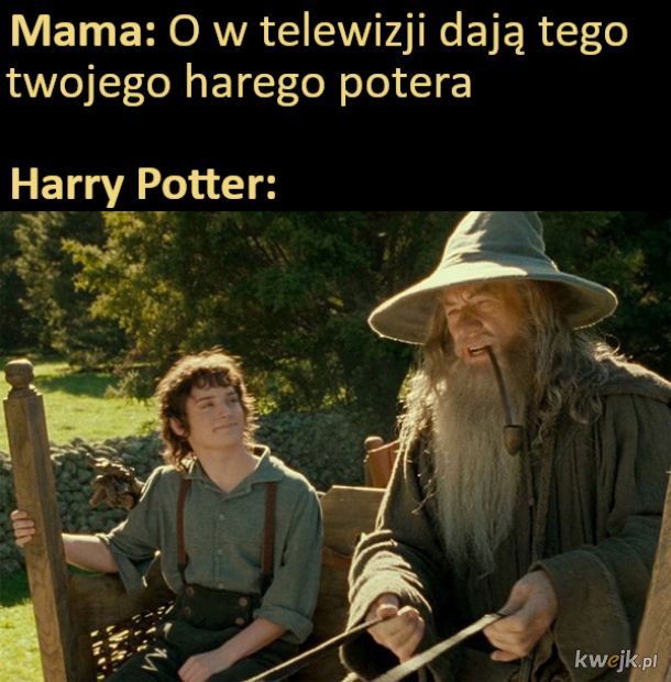 Harry Potter w telewizji