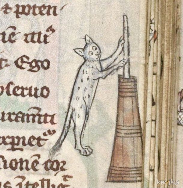 Dziwne stworzonka ze średniowiecznych manuskryptów, obrazek 20