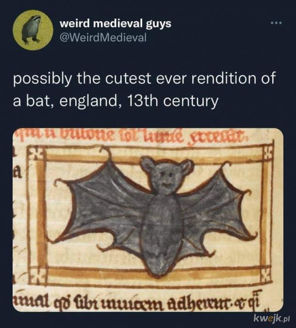 Średniowieczny nietoperzyk