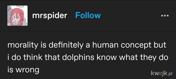 Delfiny też.