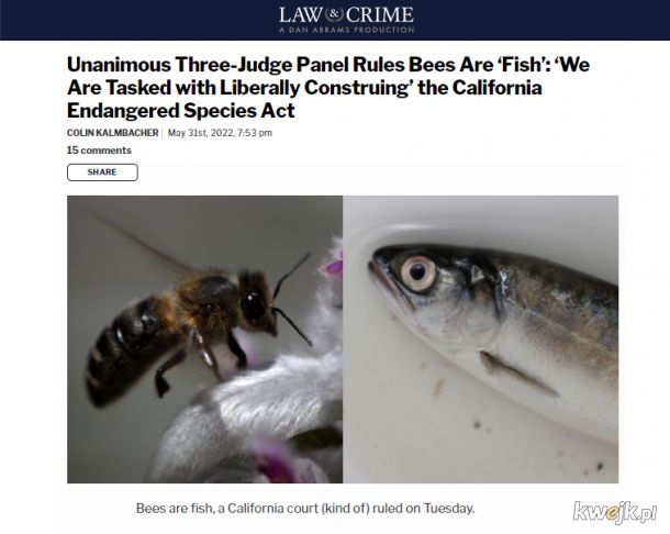 Od wczoraj w Kalifornii Pszczoły są rybami
