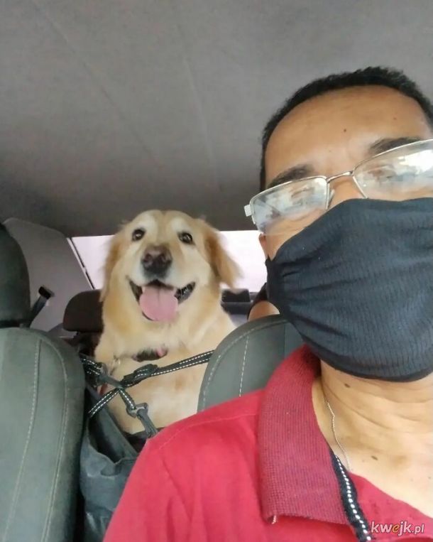 Selfie, które zrobił sobie taksówkarz ze swoimi psimi pasażerami, obrazek 7