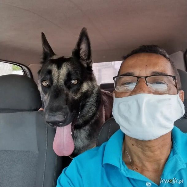 Selfie, które zrobił sobie taksówkarz ze swoimi psimi pasażerami, obrazek 3