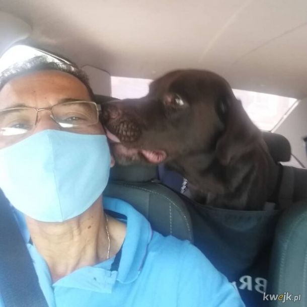 Selfie, które zrobił sobie taksówkarz ze swoimi psimi pasażerami, obrazek 12
