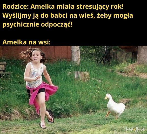 Amelka na wsi