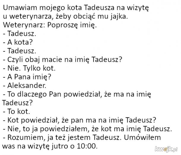 Tadeusz